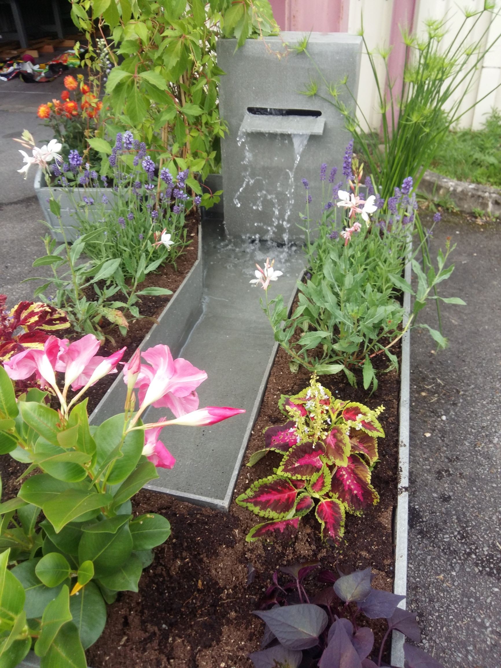 CARRE POTAGER 120 CM – Image 3